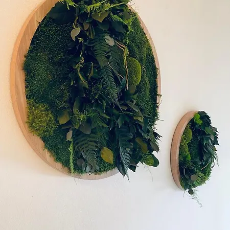 Divina With Private Heated Pool Pula