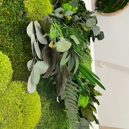 Divina With Private Heated Pool * Póla